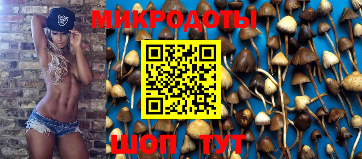 Хасавюрт  Псилоцибиновые грибы Cubensis  Вход с VPN  Псилоцибиновые грибы мухоморы 