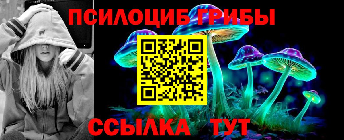 Псилоцибиновые грибы MAGIC MUSHROOMS Хасавюрт